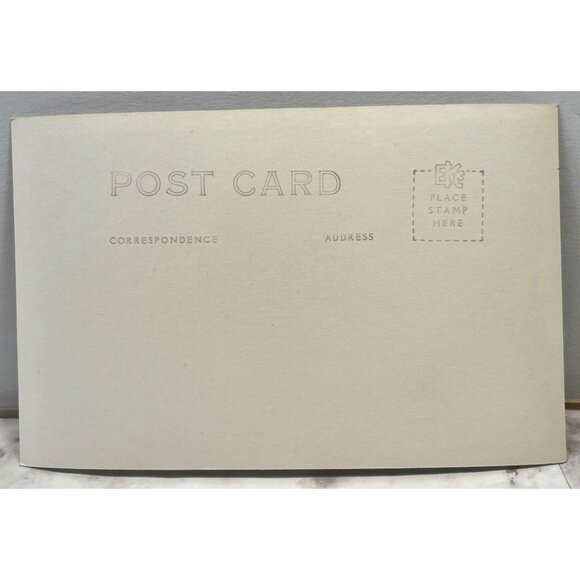 Elwha River RPPC Postcard Vintage Port Angeles WA Olympic National Park - Picture 3 of 6